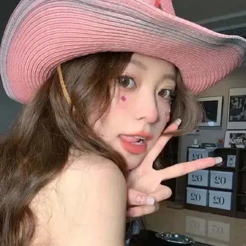 神烦警探第五季